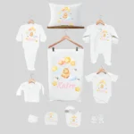 11'li Hastane Çıkış Seti İsme Özel Aslan Desenli