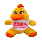 Kişiye Özel Baskılı Civciv Peluş Oyuncak