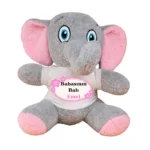 Kişiye Özel Baskılı Fil Peluş