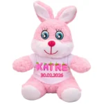 Kişiye Özel Baskılı Pembe Tavşan Peluş